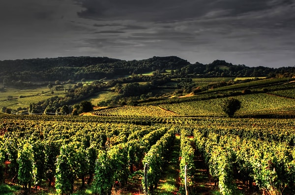 4. Бургундия, Франция