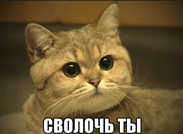 7. Что означало слово "сволочь" в древнерусском языке?