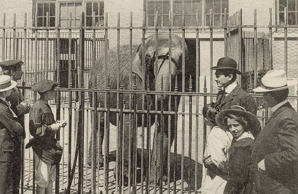 7. Общественный зоопарк