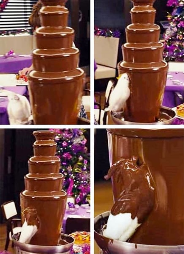 11. НУЖНО.БОЛЬШЕ.ШОКОЛАДА.