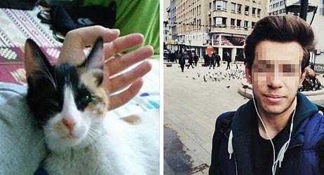 Eskişehir'de İki Kediyi Öldürmek Suçlamasıyla Gözaltına Alınan Üniversiteli Genç Serbest Bırakıldı