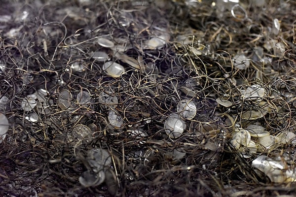 10. Очки людей, привезенных в Освенцим на казнь