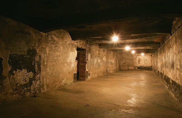 15. Газовые камеры Освенцима