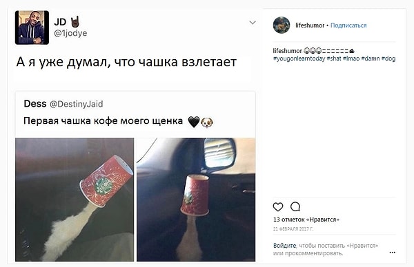 4. Не забываем включать вспышку, а лучше ищем правильный свет для фото