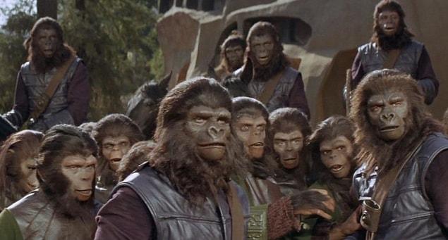 1968's Planet of the Apes also focused on how intelligent apes were. Just like we still keep on doing researches on them still.