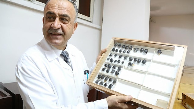 14. Literatüre kazandırdığı böceğe babasının adını koyan profesör. Babasının ismi de Bahattinmiş.