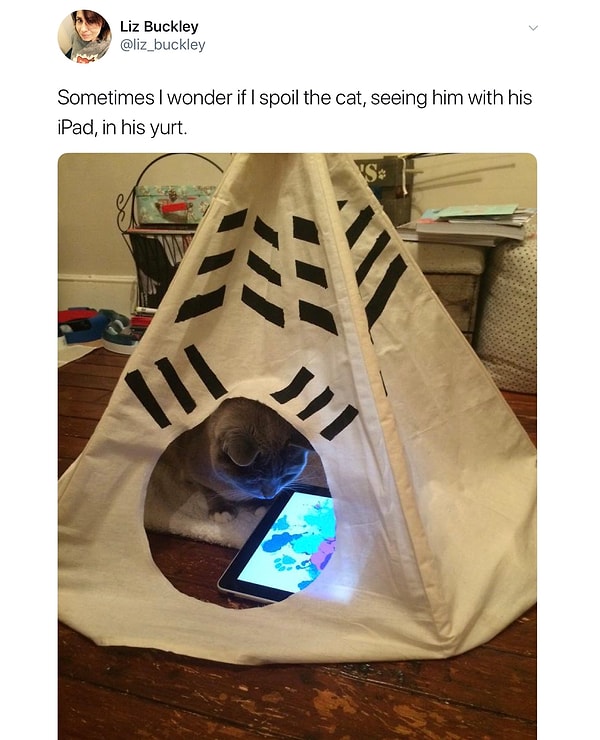 6. «Иногда я раздумываю над тем, не разбаловала ли я своего кота, когда вижу его в своей юрте с собственным iPad» 😝