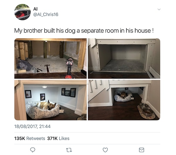 11. Этот владелец построил для своей собаки собственную крохотную спальню! 👏👏👏