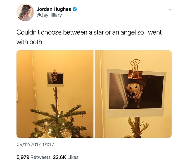 14. Идеальное украшение для рождественской ёлки 🎄