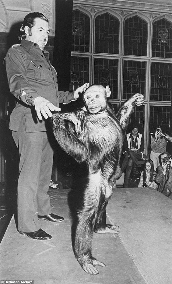 Gallup'un humanzee tanımı ise 1970'lerde Oliver adlı şempanzenin doğmasıyla bilinir hale geldi.