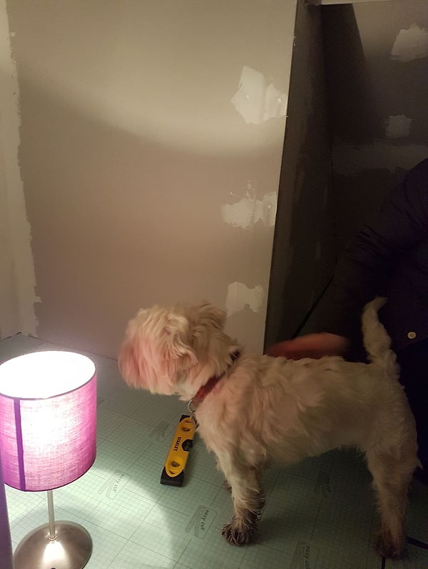 А вот Молли помогает со штукатуркой.