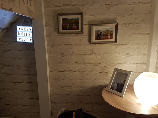 Хозяева также не забыли фотографии Молли с друзьями!