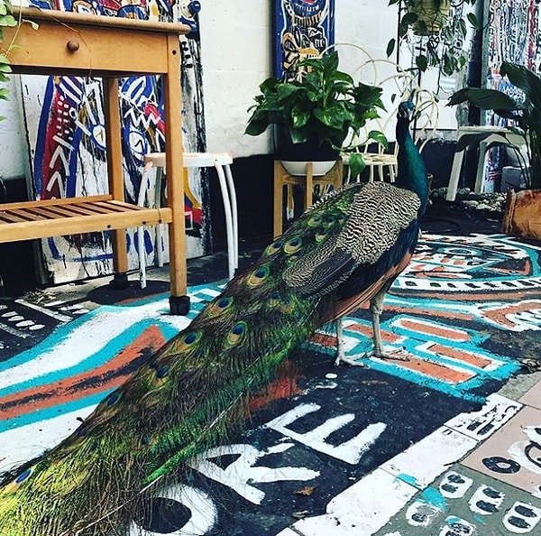 4. Эта история вызвала горячие дебаты между пользователями интернета.