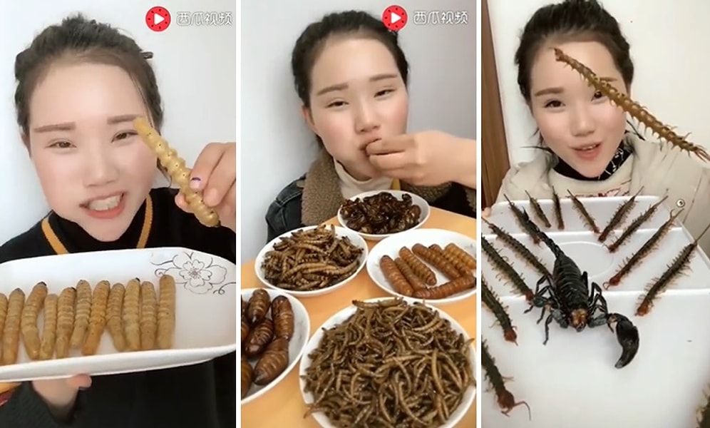 İnsanın İştahını Kabartırcasına Börtü Böcek Yiyen Kadın