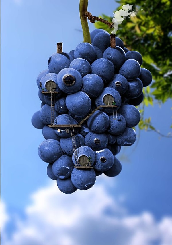 7. А виноград?