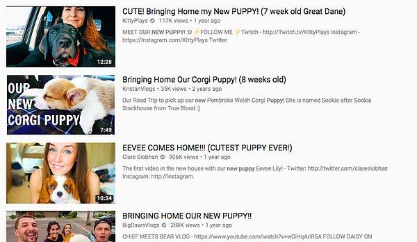 12. YouTube anasayfanız komik köpek videolarıyla doludur.