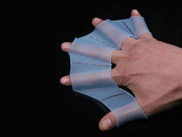 Показать правильный ответ