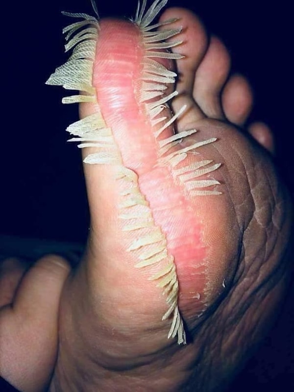 15. Стоило закончить после 3-й картинки!