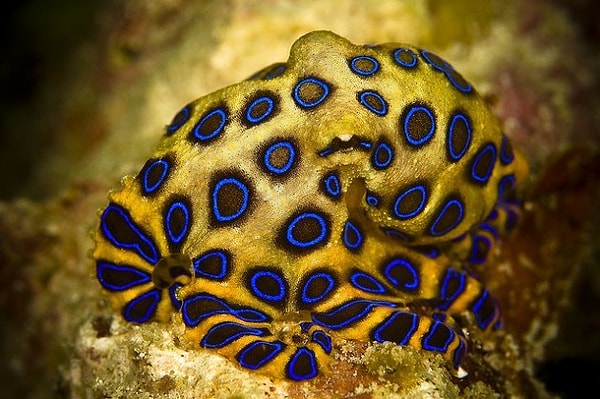 Неверный ответ!