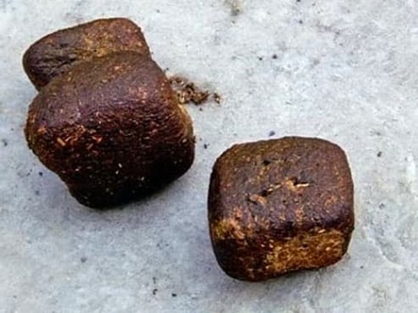 18. Фекалии вомбатов имеют кубообразную форму