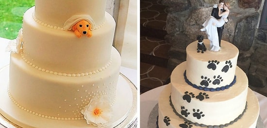 Пары изобрели новый тренд: включать своих собак в свадебные торты, и это ТАК умилительно!