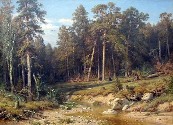 4. Сосновый бор. 1872.
