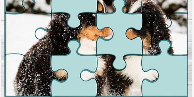 Bu 12 Parçalık Minnoş Puzzle'ı Tamamlayabilecek misin?