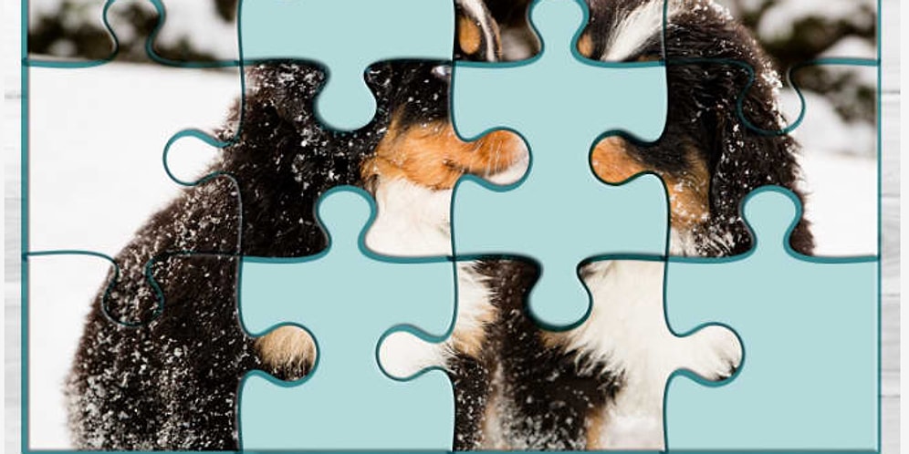 Bu 12 Parçalık Minnoş Puzzle'ı Tamamlayabilecek misin?
