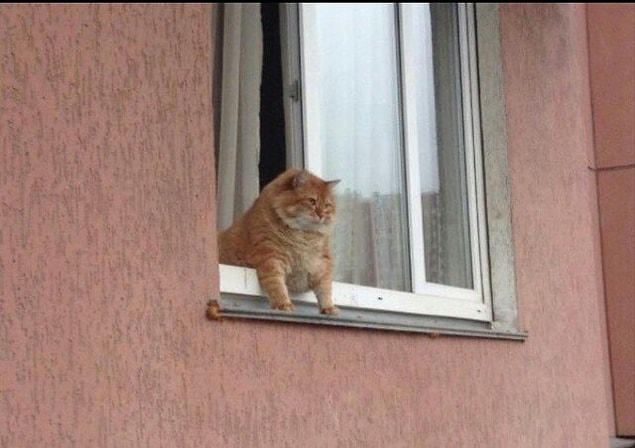 2. Siz gidin benim mamam hazırmış, onu yiyeceğim...
