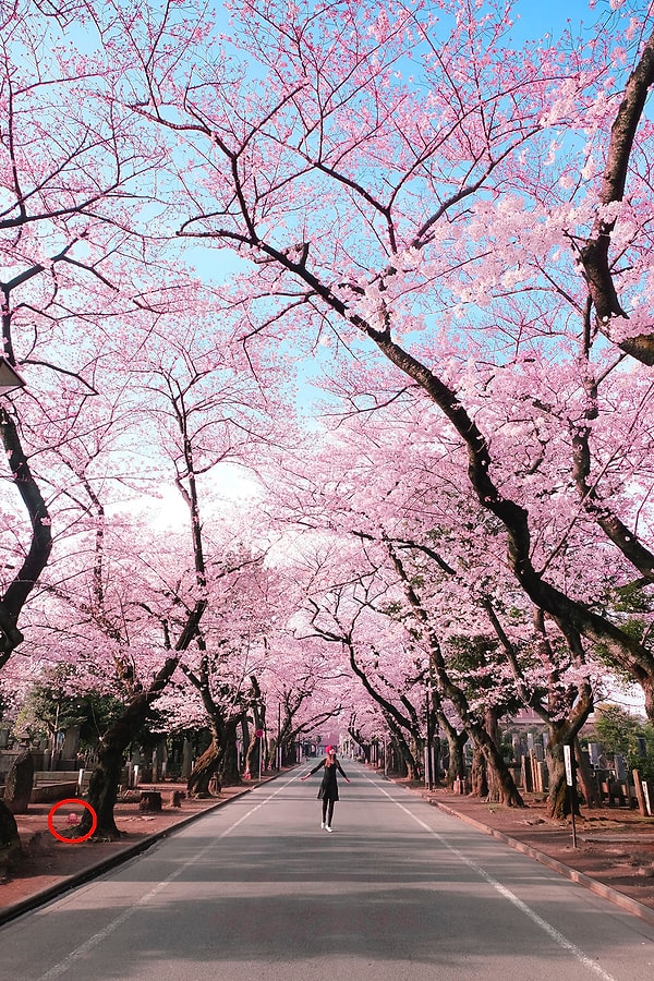 Посмотреть, где эмоджи: