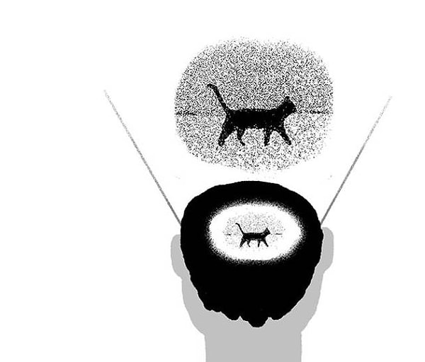 1. Термин "дежавю" происходит от французского слова déjà vu, что переводится как "уже виденное".