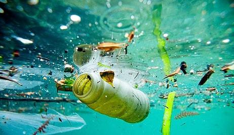 Tüm Dünyanın En Büyük Ortak Sorunu Plastik Atıklara Norveç Nasıl Bir Çözüm Buldu?