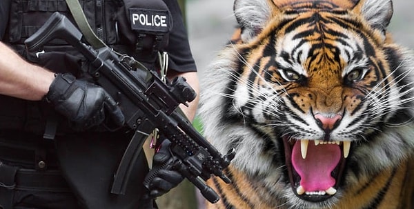 5. Затем на место подъехали еще 6 полицейских машин, включая вооруженный отряд.