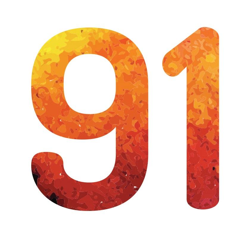 91 балл из 100!