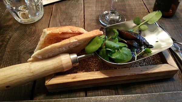 5. Буквально с огорода!