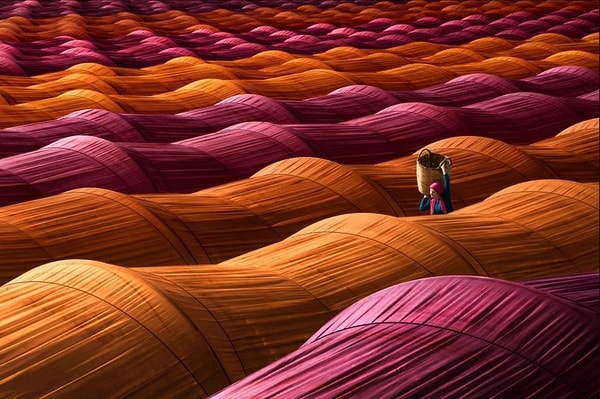 7. Виноградники в Турции