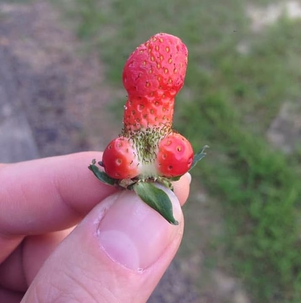 6. Ничего такого... Просто клубничка! 🍓