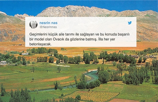 Burası Ülkenin 8. Büyük Tarım Ovası: Ovacık'ta Tarım Arazilerini de İçine Alan Bölge İhaleye Çıkarıldı