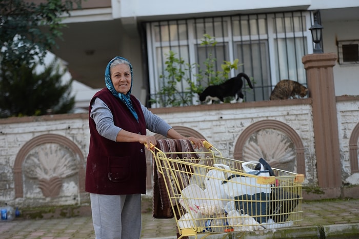 Sepetiyle İyilik Saçıyor: Her Gün 5 Kilometre Yürüyüp Yüzlerce Sokak Hayvanını Besleyen Muazzez Teyze ile Tanışın!