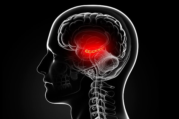 4. Оказывается, этот вид спорта снижает негативный эффект, который стресс оказывает на гиппокамп – часть мозга, отвечающую за обучение и память.