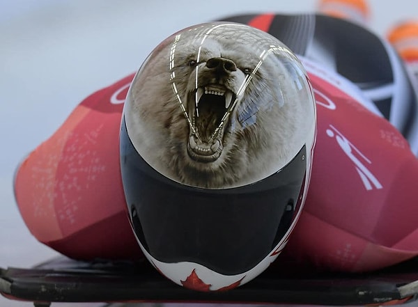 3. Полярный медведь