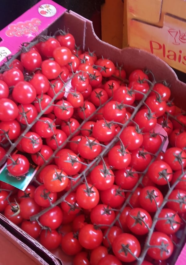 6. Безукоризненные ветви томатов...