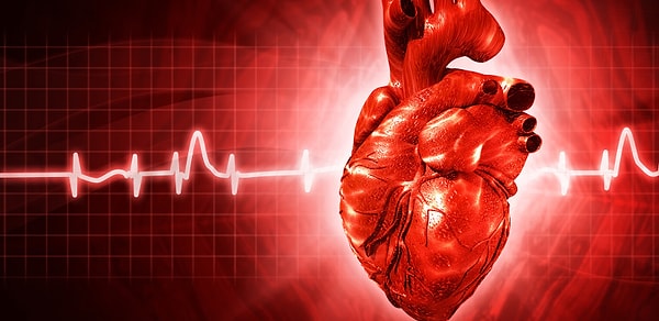 3. Раньше при остановке сердца человек считался безоговорочно мертвым, но сегодня его можно спасти в первые минуты после остановки, введя особый медицинский препарат. Какой?
