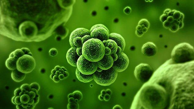 4. Mikropları etkileyen madde bizi de etkileyebilir.