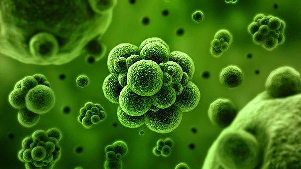 4. Mikropları etkileyen madde bizi de etkileyebilir.