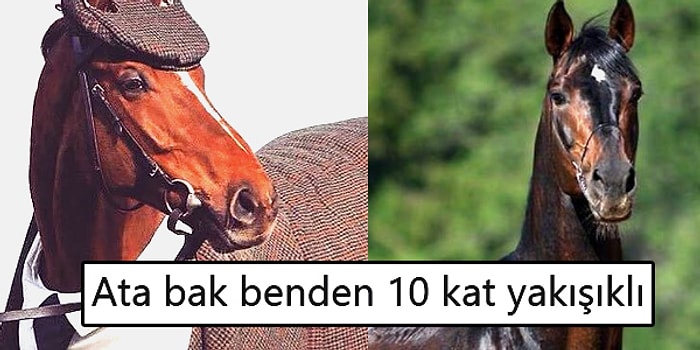 Sizden Çok Daha Yakışıklı ve Karizmatik Olduğunu Görünce İçten İçe Kıskanacağınız 15 Hayvan