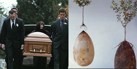 Не нравится идея быть кремированным? Промессия – новый тренд среди тех, кто хочет заранее позаботиться о своем погребении