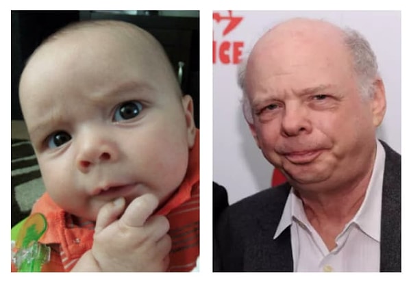 17. Уоллес Шон