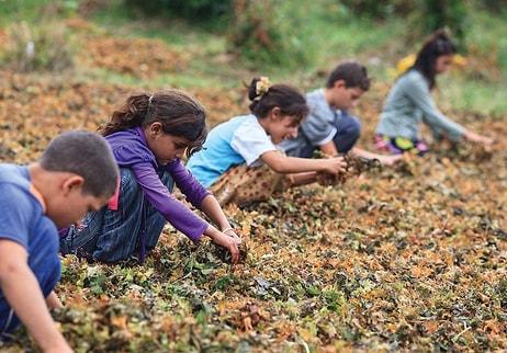 Duydunuz mu? 2018 Yılı 'Çocuk İşçiliği ile Mücadele Yılı' İlan Edildi