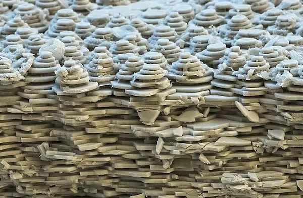 7. А что у нас тут такое слегка пугающее и непонятное? Это раковина улитки под микроскопом!